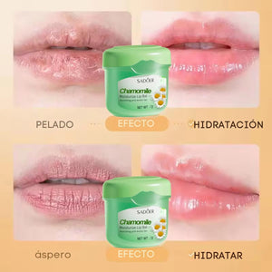 Duo Bright Moisturizing Lip Balm (Pack 3)