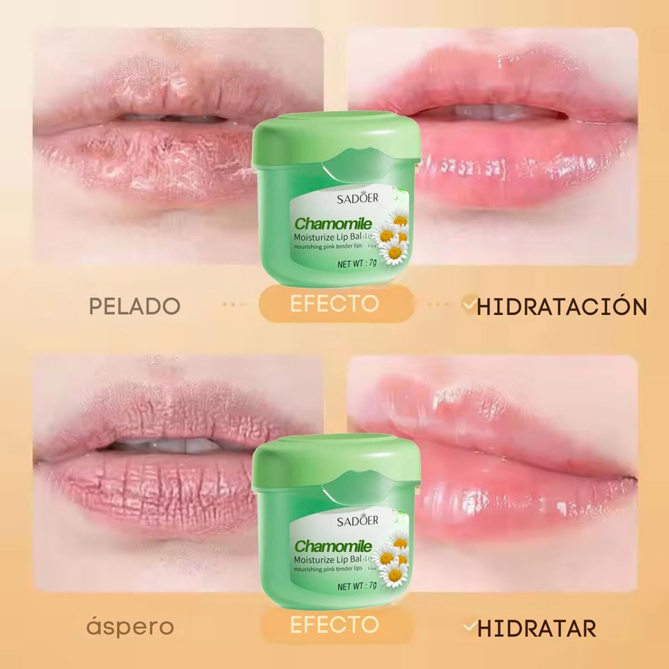 Duo Bright Moisturizing Lip Balm (Pack 3)