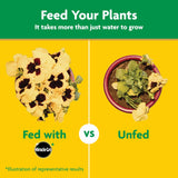 ðŸŒ¿ Miracle-Gro Water Soluble All Purpose Plant Food â€“ 8 oz (226g)