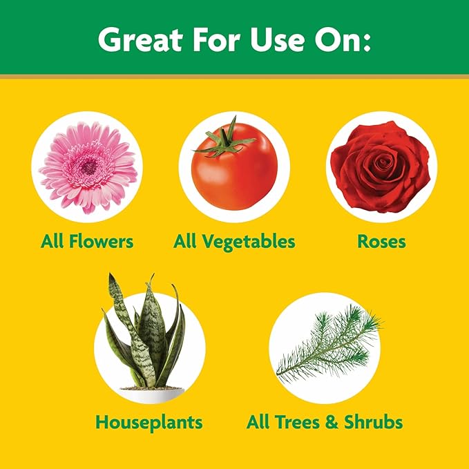 ðŸŒ¿ Miracle-Gro Water Soluble All Purpose Plant Food â€“ 8 oz (226g)