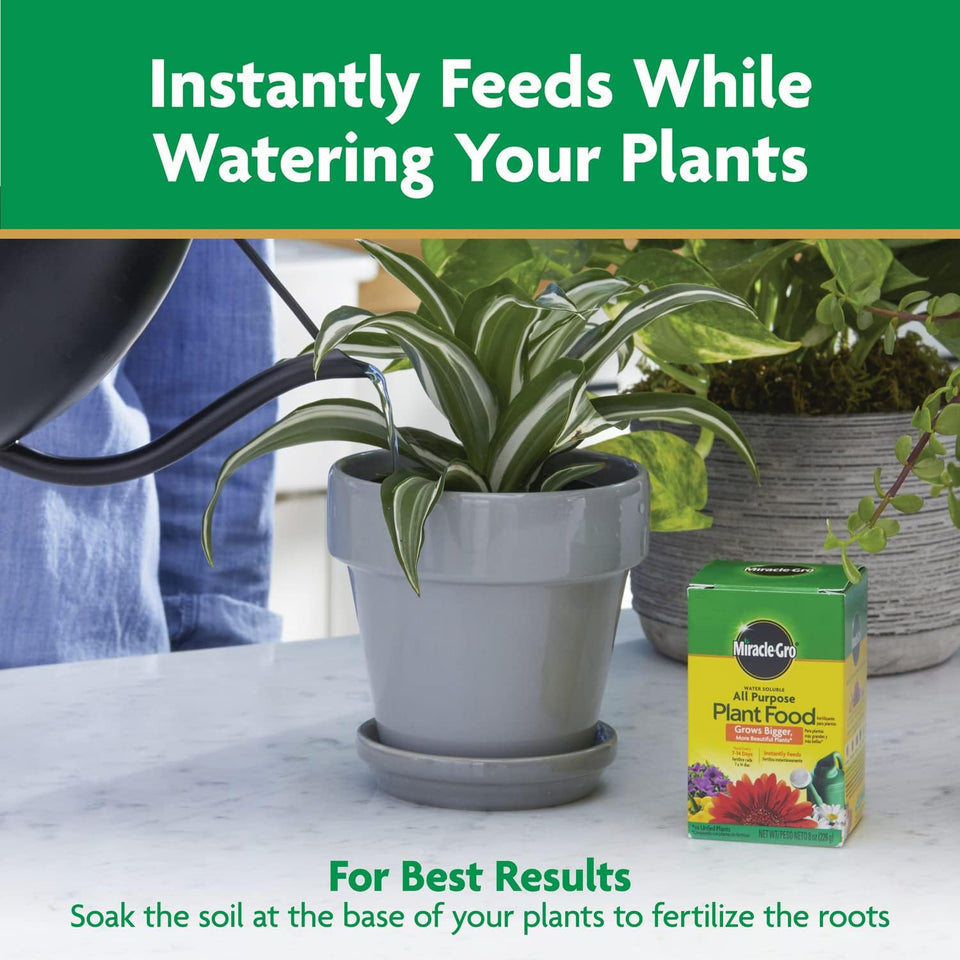 ðŸŒ¿ Miracle-Gro Water Soluble All Purpose Plant Food â€“ 8 oz (226g)