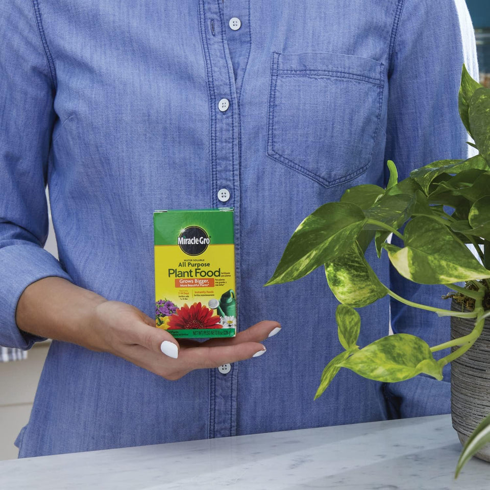 ðŸŒ¿ Miracle-Gro Water Soluble All Purpose Plant Food â€“ 8 oz (226g)