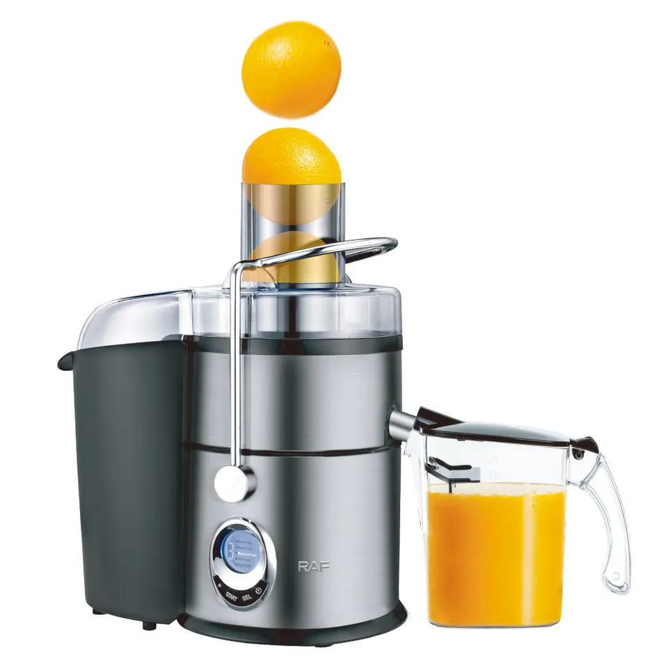 Juicer Machine 800w Powerful Juicer Extractor
